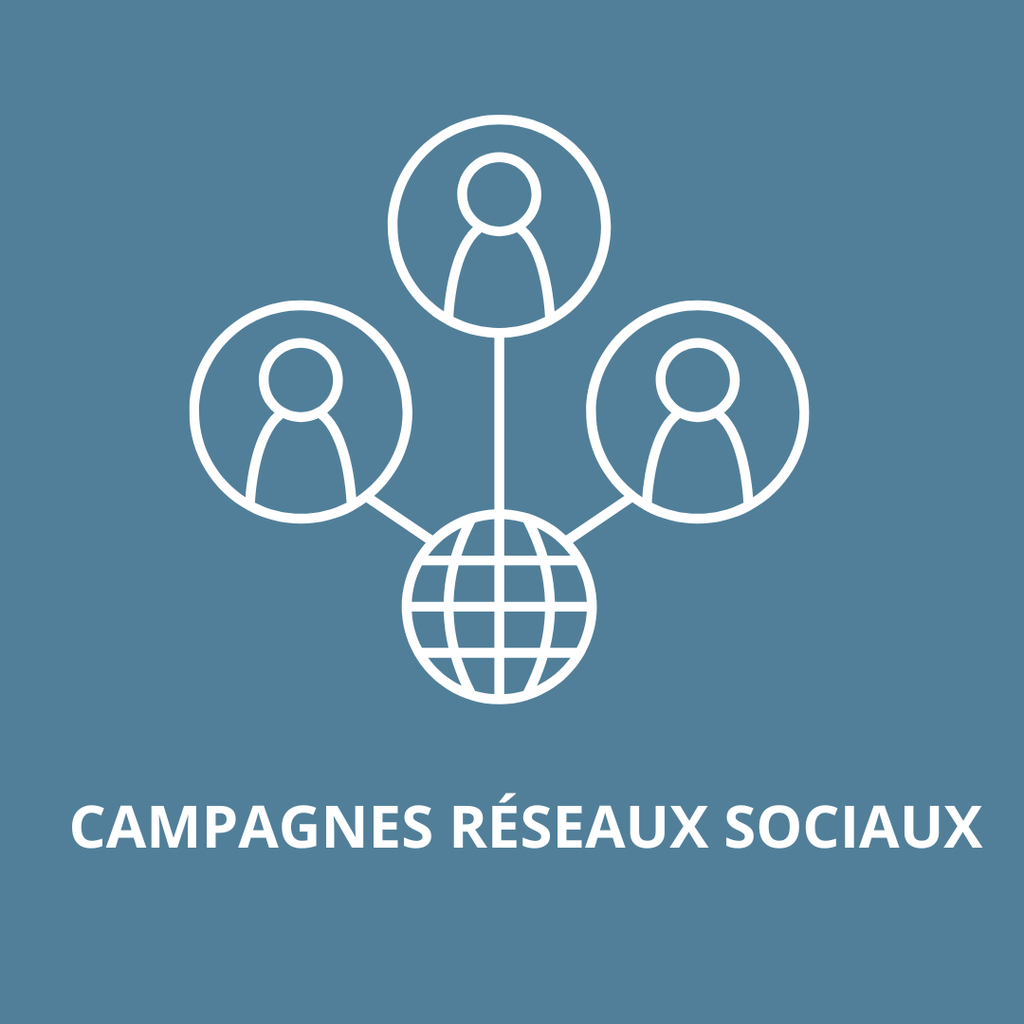 Votre campagne réseaux sociaux- entrepreneur