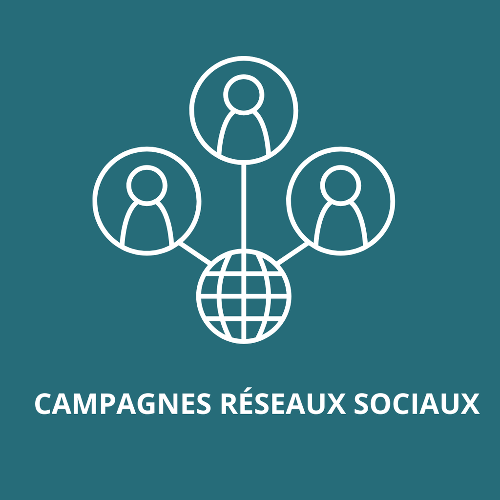 Votre campagne réseaux sociaux- PME